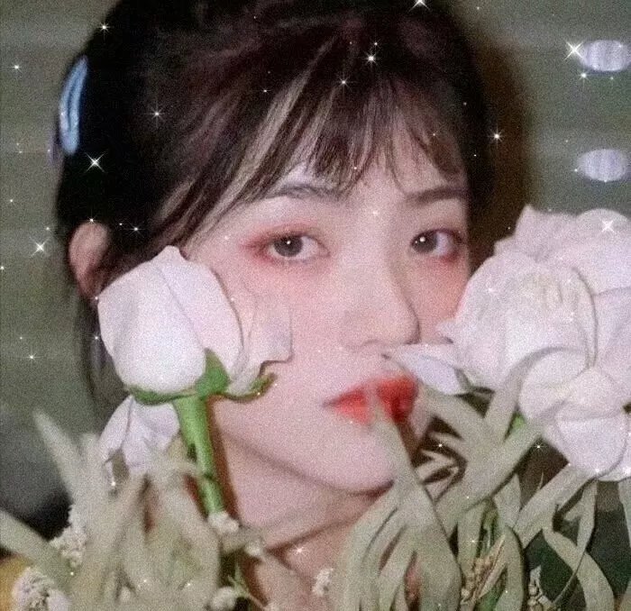 青春月谭